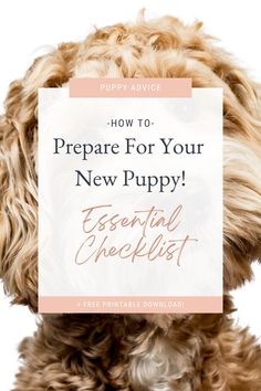 a brown dog with the title how to prepare for your new puppy essential checklist