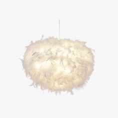 a white light hanging from a ceiling with feathers on it's back and sides