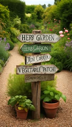 a wooden sign sitting in the middle of a garden filled with potted plants and flowers