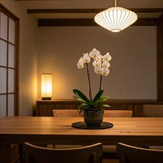 a vase with white flowers sitting on top of a wooden table