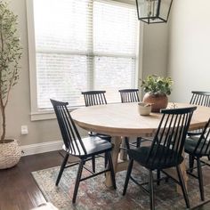 a dining room table with black chairs and a potted plant in the corner next to it