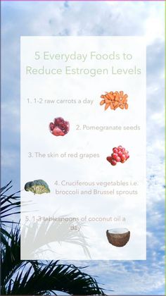 High estrogen levels in the body, or estrogen dominance, can cause issues like irregular & painful periods, uterine fibroids, decreased sex drive, bloating, weight gain and depression, etc. These foods can help detox the body from excess estrogen, but keep in mind to consume moderately to prevent having too little estrogen in the body which can cause further complications 殺 . . . #wombhealth #womb #hormones #hormonebalance #estrogen #herbalremedies #food #healthy #healthyfood #naturalremedy Low Estrogen Foods Diet, Foods To Help Lower Estrogen, Foods That Lower Estrogen Levels, Estrogen Lowering Foods, Estrogen Reducing Foods, Lower Estrogen Diet, Lower Estrogen Levels Natural, Lowering Estrogen Naturally, Foods To Decrease Estrogen