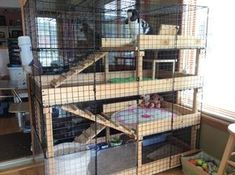 a caged in animal house with a cat sitting on top