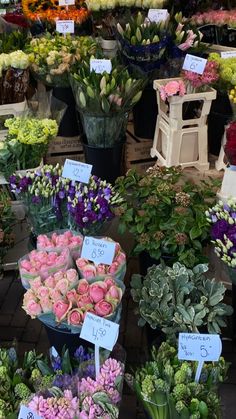 many different types of flowers on display at a flower shop with price tags attached to them