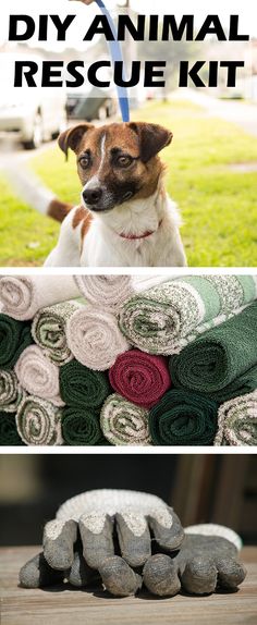 a dog sitting on top of a pile of towels next to a pile of rolled up towels