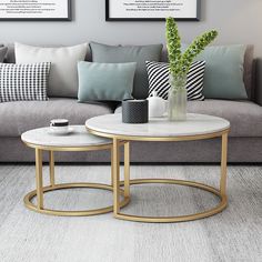 a living room with couches, coffee table and pictures on the wall above it