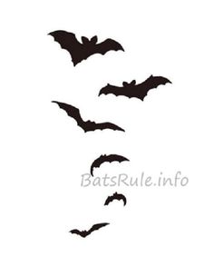 bats are flying in the air with their wings spread out to form an outline on a white background