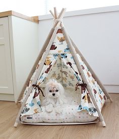 a small white dog sitting in a teepee