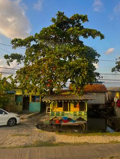 an orange tree in the middle of a street with parked cars and houses behind it