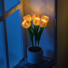 three yellow tulips in a white pot on a table next to a window