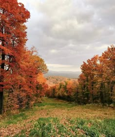 an open field surrounded by trees in the fall