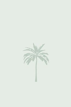 a palm tree on a light gray background