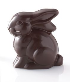 a chocolate bunny sitting on its hind legs