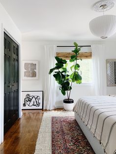 a bedroom with a bed, rug and potted plant on the floor next to it