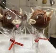 two chocolate cows on sticks with red bows