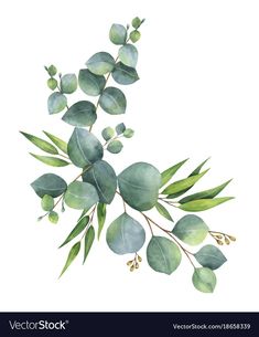 watercolor painting of green leaves and branches