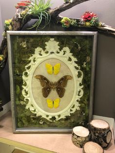 two butterflies in a frame on a table next to some wood slices and other decorations