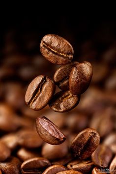 coffee beans with the words bonn dia above them