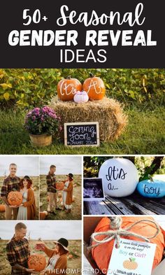 Collage of gender reveal ideas for fall using pumpkins and Autumn decor. Christmas Gender Announcement, Christmas Tree Gender Reveal, Foto Gender Reveal, Fall Gender Reveal Ideas, Fall Gender Reveal Party, Baby Shower Reveal Ideas, Sibling Gender Reveal, Baby Gender Announcements, Pumpkin Gender Reveal