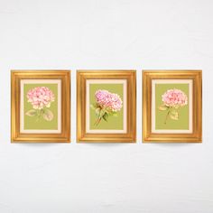 three framed pictures with pink flowers on green paper in gold frames against a white wall