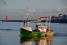 a green and white boat in the water