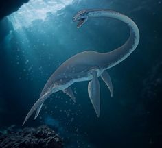 an artist's rendering of a dinosaur swimming in the ocean