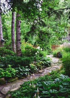 a garden with lots of green plants and trees