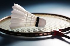 a tennis racket that has some white feathers on it