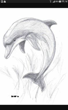 a drawing of a dolphin jumping out of the water