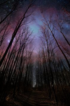 the night sky is filled with stars and clouds above a forest path that runs through trees