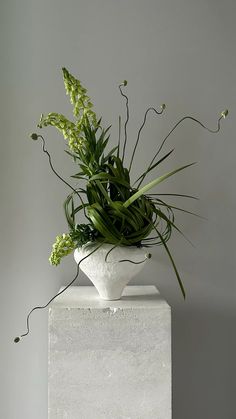 a white vase filled with green plants sitting on top of a cement block in front of a gray wall