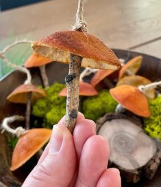 a hand holding a small piece of wood with mushrooms on it and moss in the background