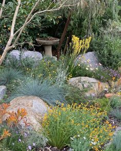 a garden filled with lots of different types of flowers and plants next to large rocks