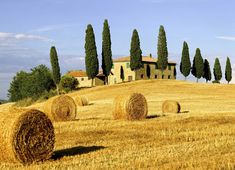 a field with hay bales in front of an old house and trees on the hill