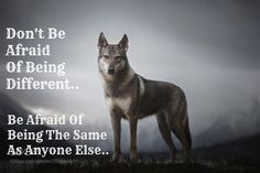 a wolf standing on top of a grass covered field next to a quote that reads, don't be afraid of being different be afraid of being the same as anyone else