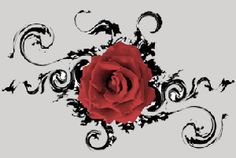 a red rose with black swirls on it and the words tattoopedia com