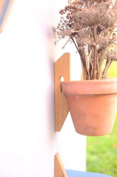 a potted plant hanging on the side of a wall