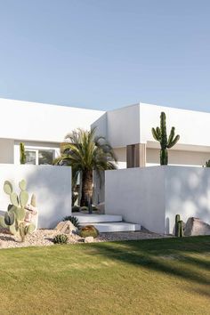 Discover An Oasis of Palm Springs Architecture in Regional Queensland | ABI Interiors Palm Springs Landscaping, Beach House Landscaping, Mid Century Modern Palm Springs, Mid Century Palm Springs