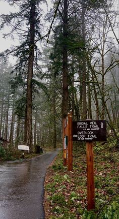 a road in the middle of a forest with signs pointing to different directions on it