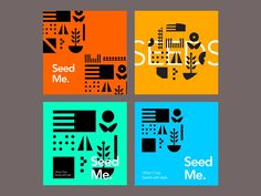 four square posters with the words seed me and some type of plant in different colors