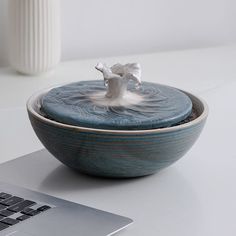 a white bird is sitting on top of a bowl with water in front of a laptop