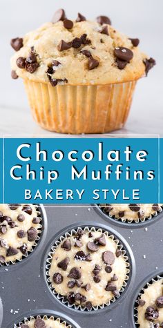 chocolate chip muffins in a cupcake pan with the title, chocolate chip muffins bakery style