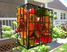 a bird feeder filled with lots of fruit on top of a porch next to a house