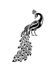 a black and white drawing of a peacock with feathers on its tail, it's tail