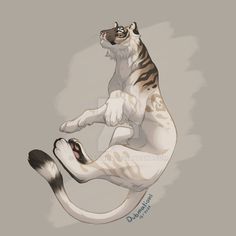 a white tiger jumping up into the air