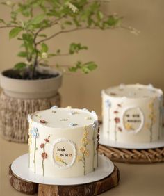 two decorated cakes sitting on top of a white plate next to a potted plant