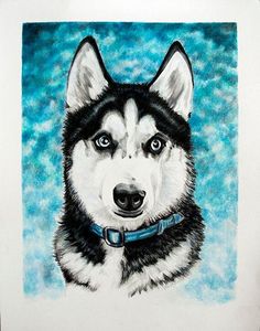 a drawing of a husky dog with blue eyes and black fur on it's head