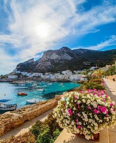 boats are docked in the water next to some buildings and flowers on the sidewalk near the beach