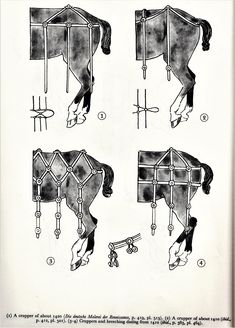 the diagram shows how to tie a horse's bridle and harnesses