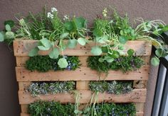 a wooden pallet filled with lots of green plants and grass growing on top of it